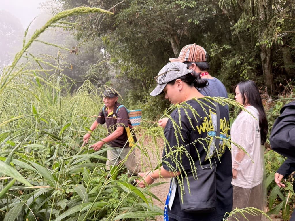 霧氣山林中,地方陪伴者指向植物,學生跟著辨認