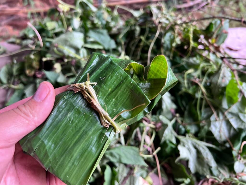 以植物莖稈綁好的香蕉葉餐包